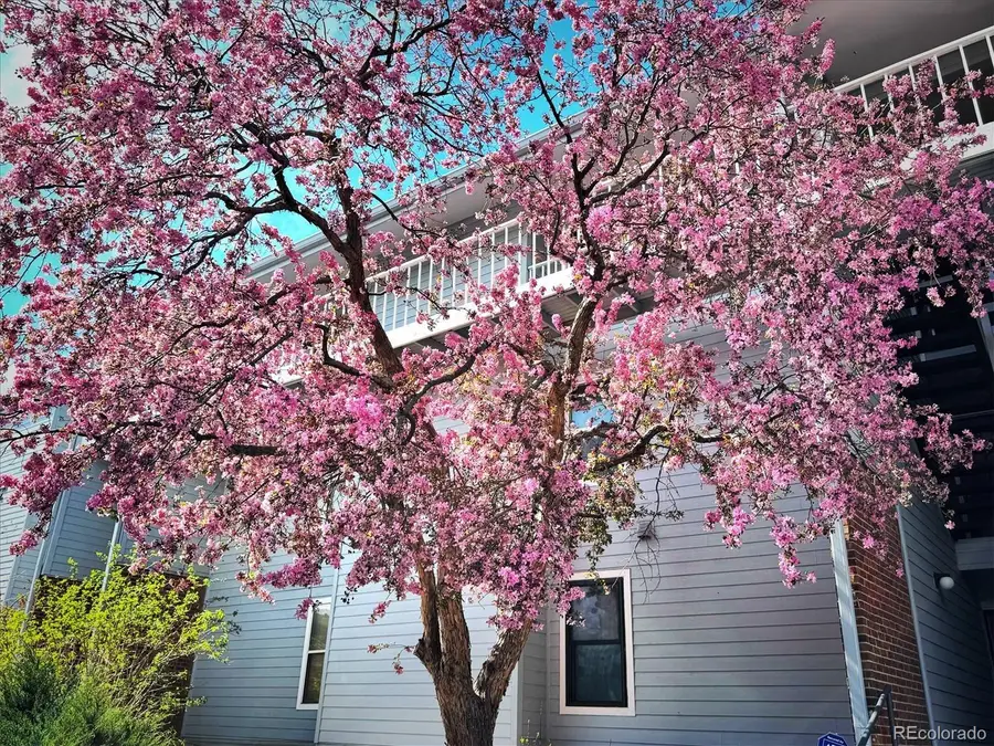 3121 S Tamarac Drive #208H, Denver, CO 80231 - #3