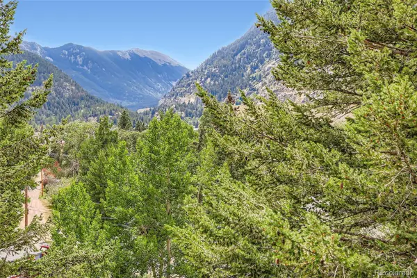 819 Valley View Drive, Georgetown, CO 80444