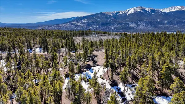 1335 Sequoia Drive, Leadville, CO 80461