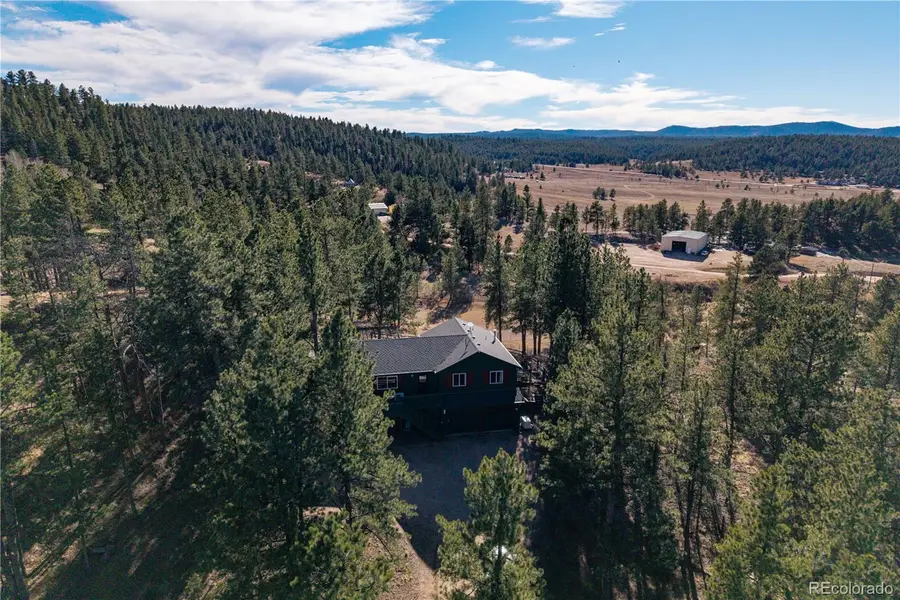 517 Crystal Peak Road, Florissant, CO 80816 - Image #3