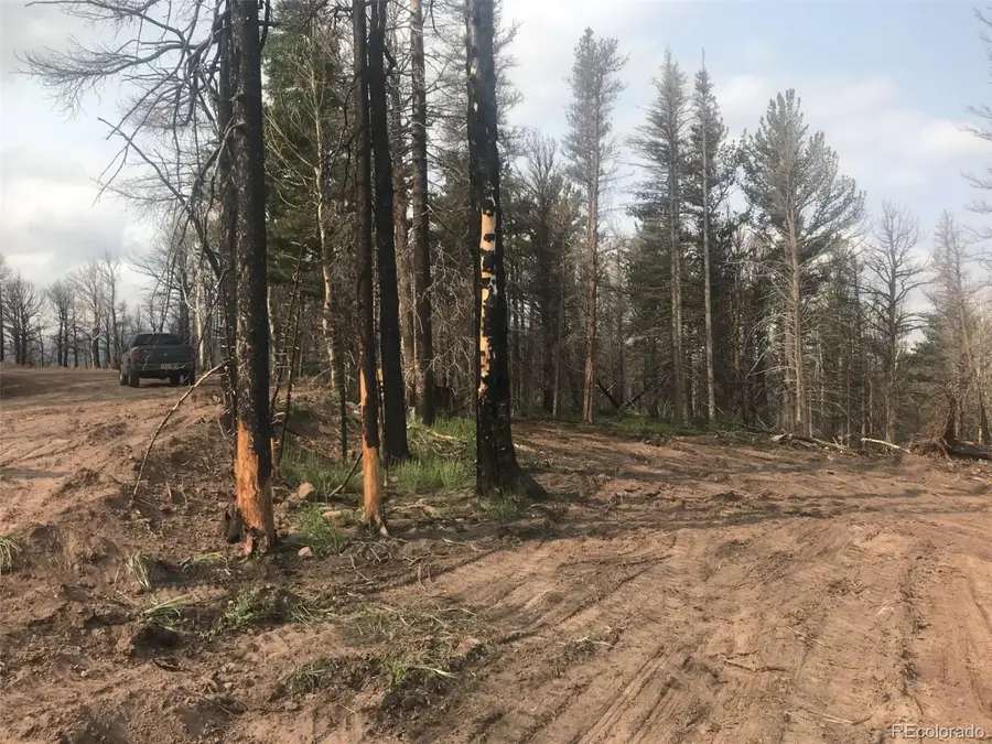 2736 Newman Place, Fort Garland, CO 81133 - #2