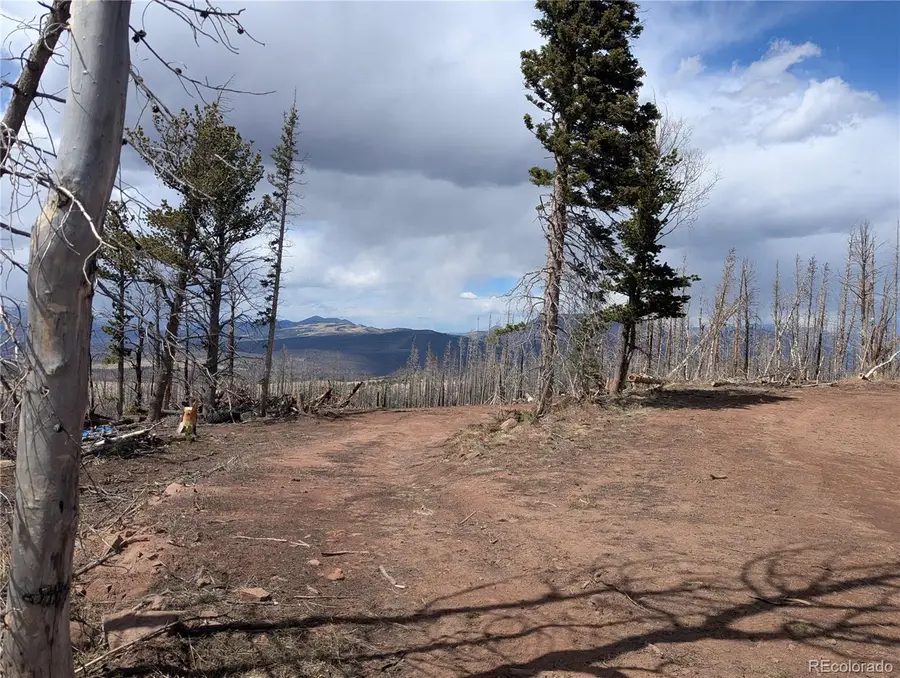 2736 Newman Place, Fort Garland, CO 81133 - #3