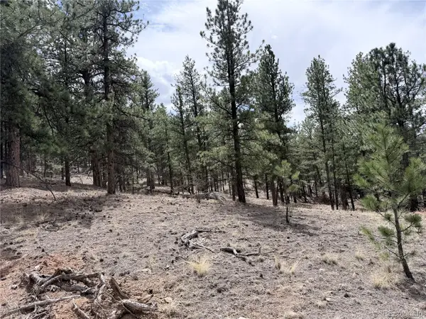 88 Crystal Lane, Lake George, CO 80827