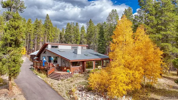 987 Ruby Lane, Leadville, CO 80461