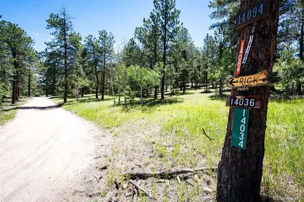 S Wandcrest Drive, Pine, CO 80470