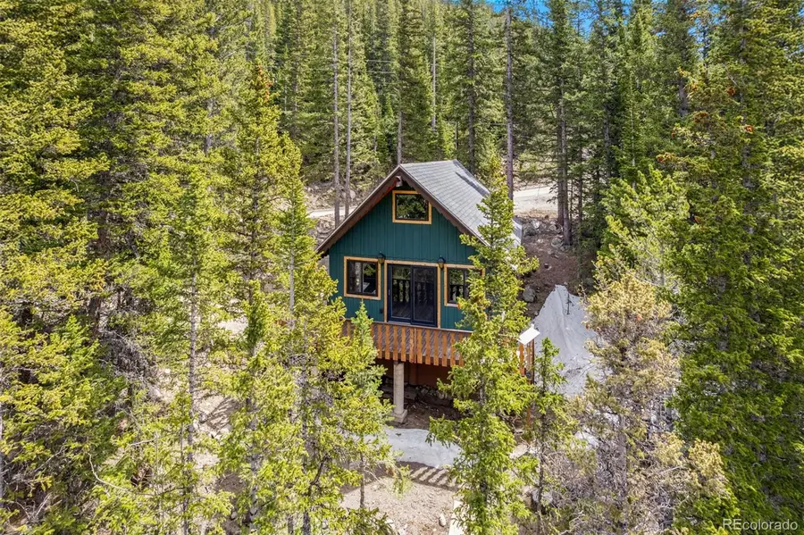 827 Mine Road, Idaho Springs, CO 80452 - #2