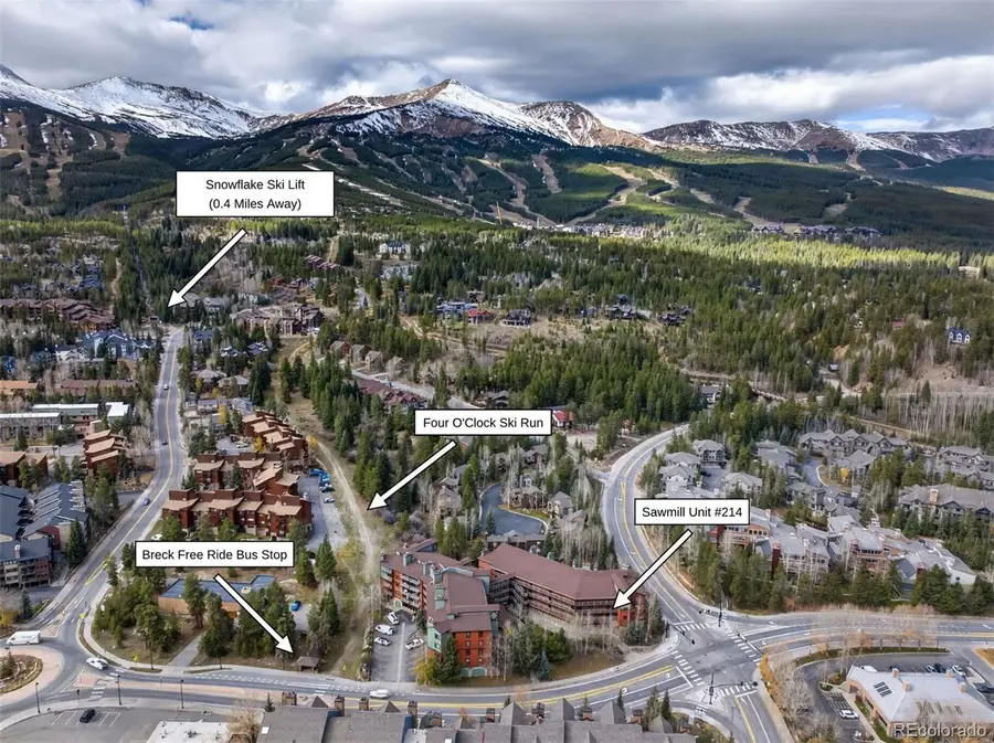 105 S Park #214, Breckenridge, CO 80424 - #2