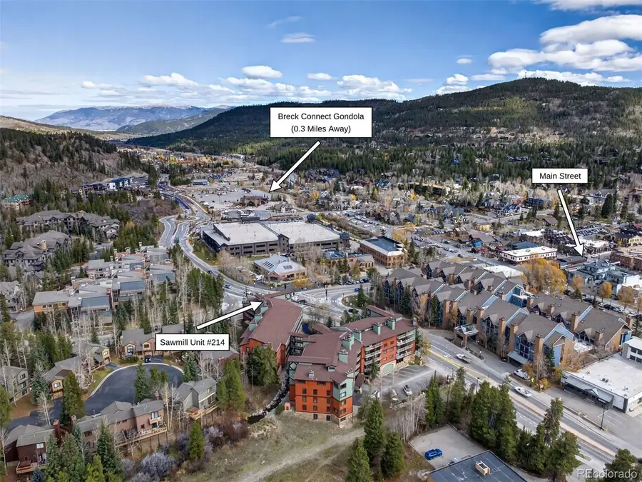 105 S Park #214, Breckenridge, CO 80424 - #3