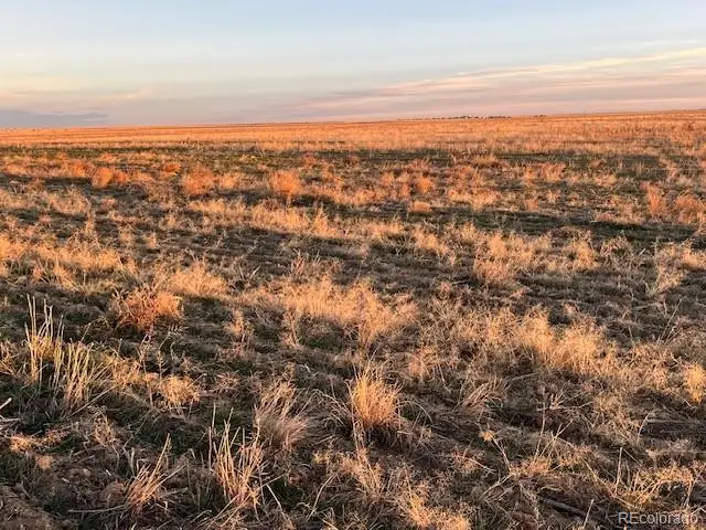 51000 E 104th Avenue, Bennett, CO 80102 - #3