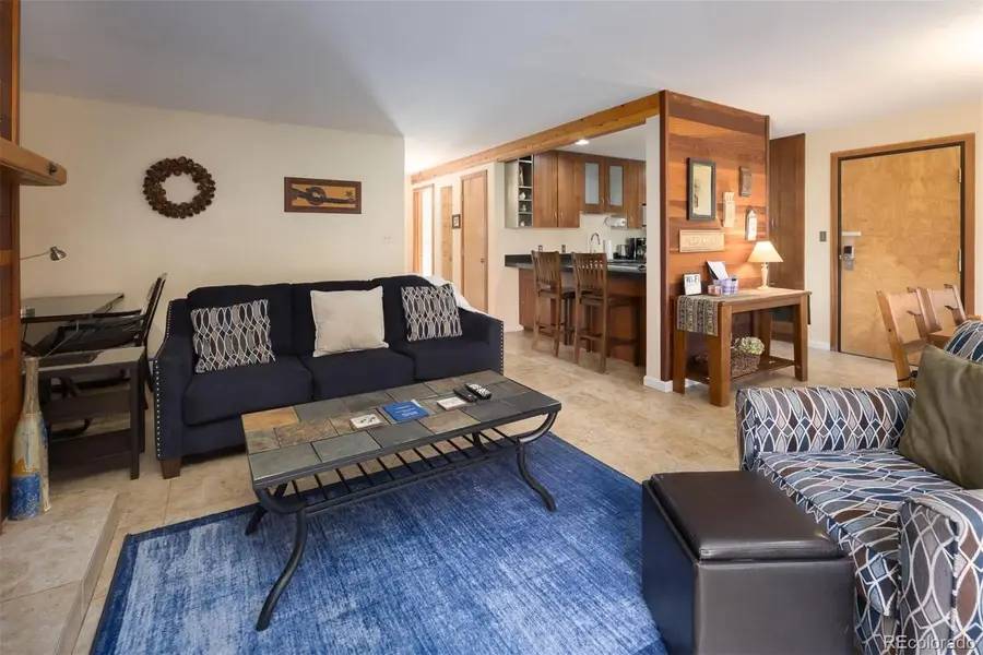 91100 Ryan Gulch Road #91105, Silverthorne, CO 80498 - #3