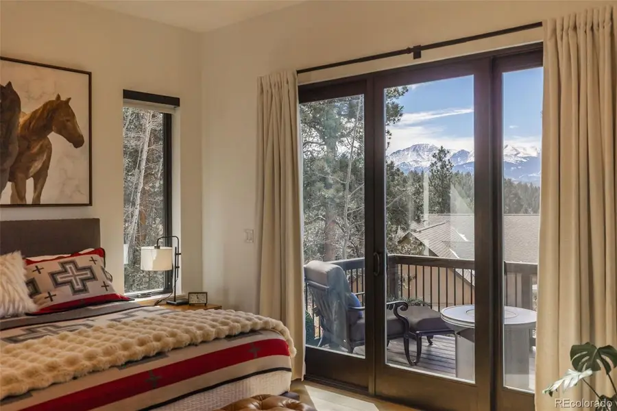 1005 Locklin Way, Woodland Park, CO 80863 - #3