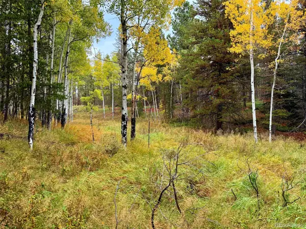 7X Wallace, Conifer, CO 80433