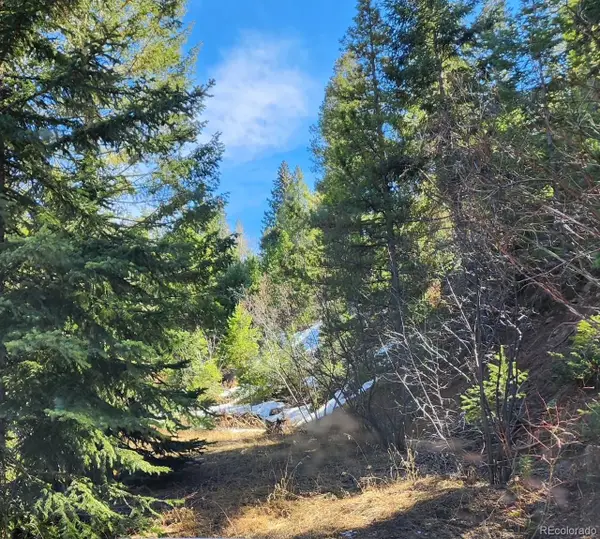 10151 Coronado Circle, Morrison, CO 80465