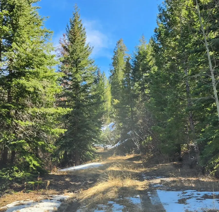 10151 Coronado Circle, Morrison, CO 80465 - #3