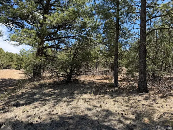 477 Bear Peak Road, Westcliffe, CO 81252