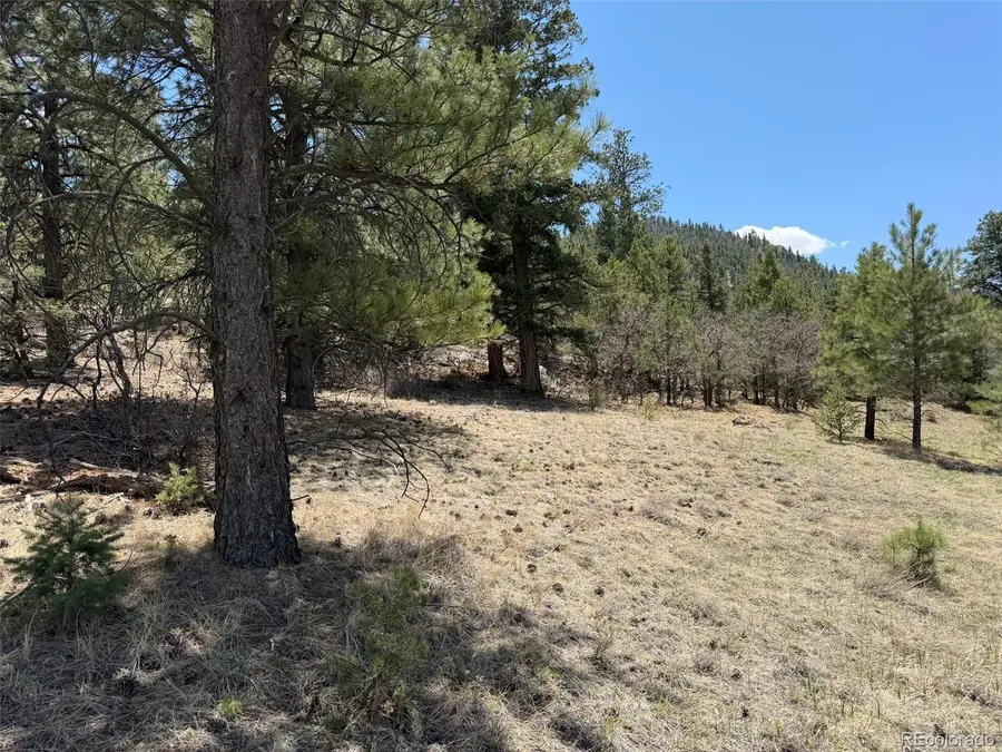477 Bear Peak Road, Westcliffe, CO 81252 - #2