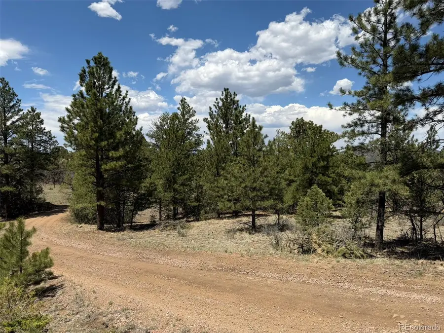 477 Bear Peak Road, Westcliffe, CO 81252 - #3