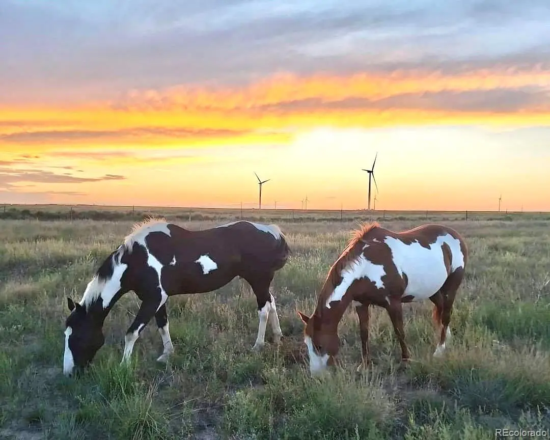 53647 County Road 36.4, Genoa, CO 80818 - Image #1