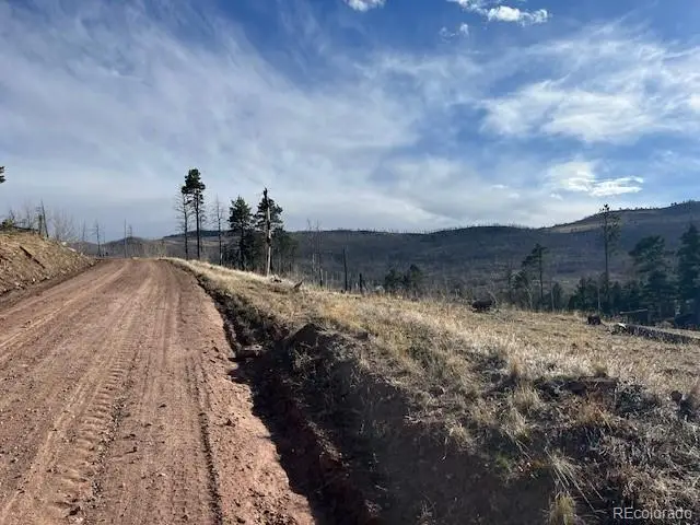 Lot 1020 & 1021 Hassan Lane, Fort Garland, CO 81133 - #2