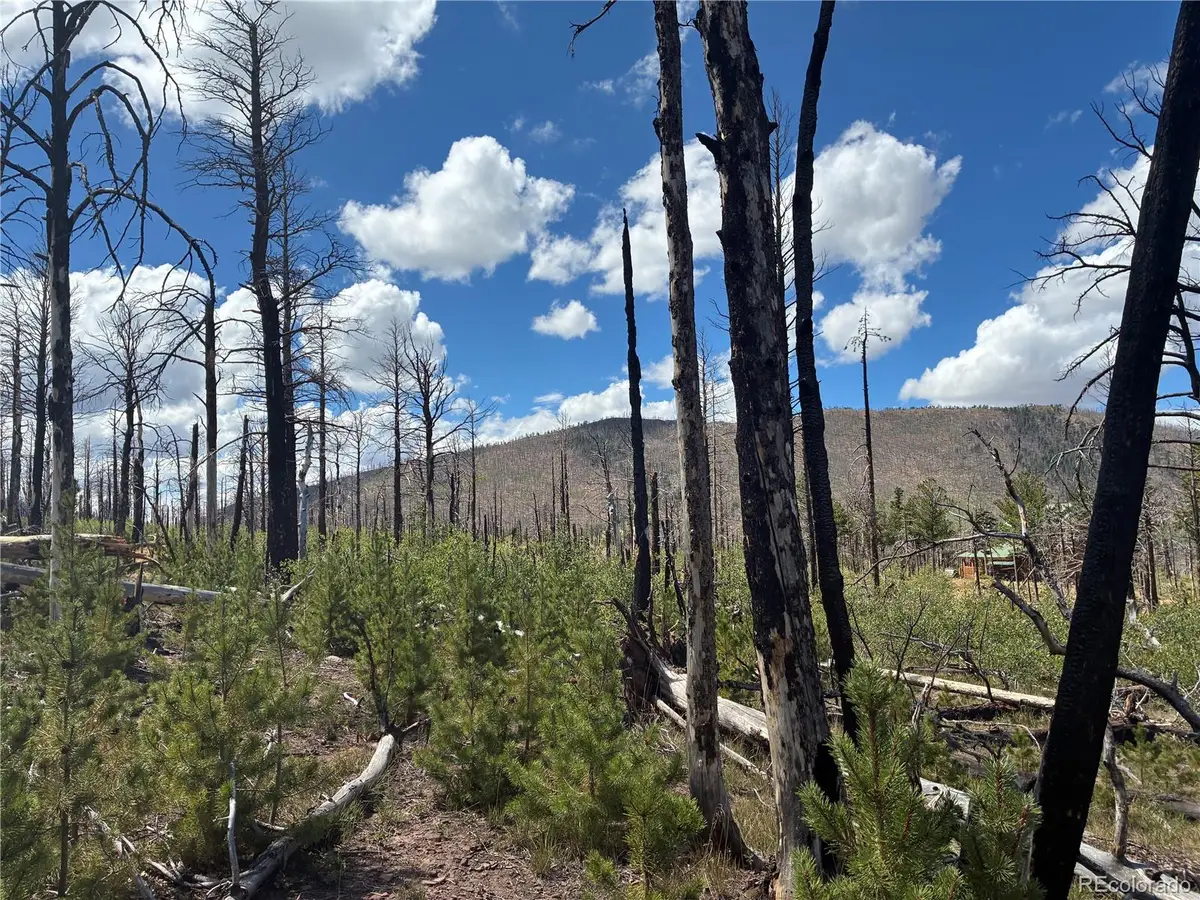 LOT 2257 Port Loop, Fort Garland, CO 81133 - #1