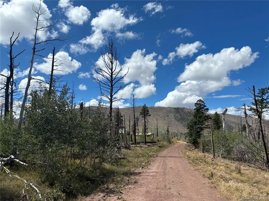 LOT 2257 Port Loop, Fort Garland, CO 81133 - #2