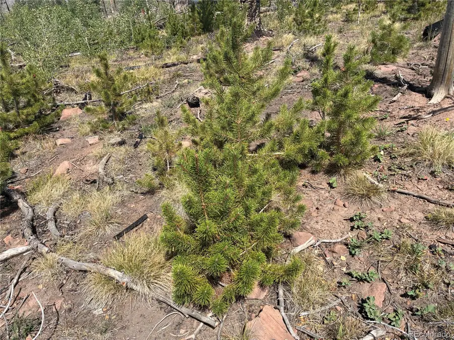 LOT 2257 Port Loop, Fort Garland, CO 81133 - #3
