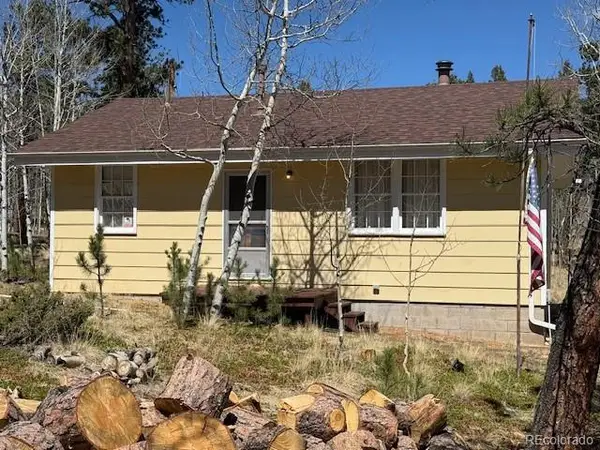 103 Baker Road, Bailey, CO 80421