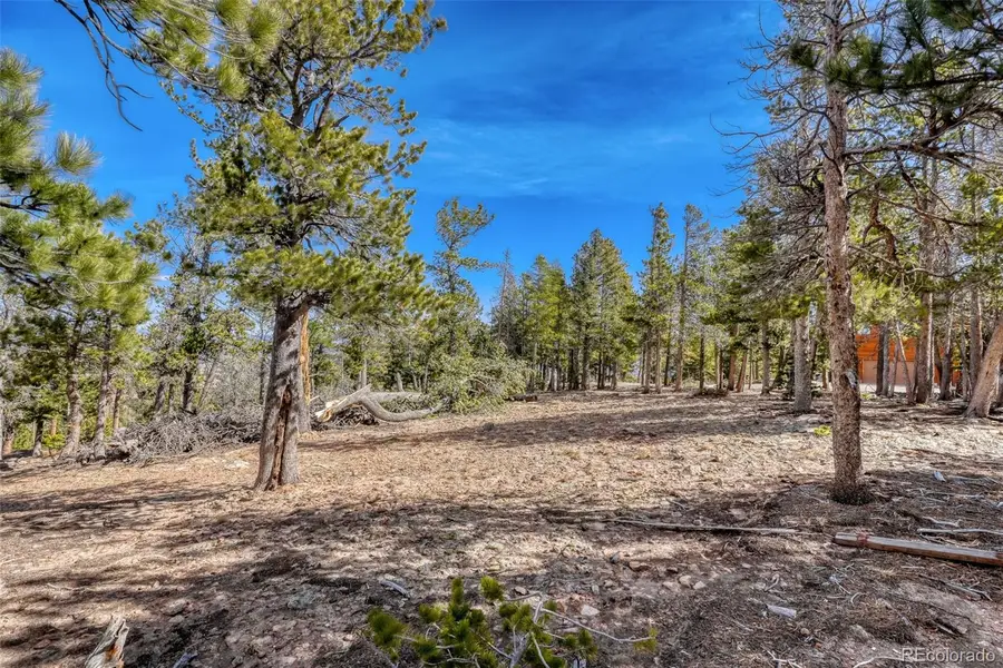 33149 Janelle Circle, Golden, CO 80403 - #2