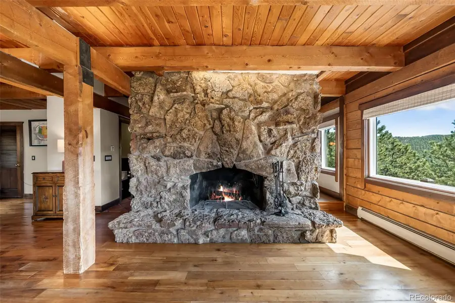 3890 S Skyline Drive, Evergreen, CO 80439 - #3