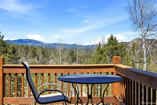 146 S Random Road, Bailey, CO 80421