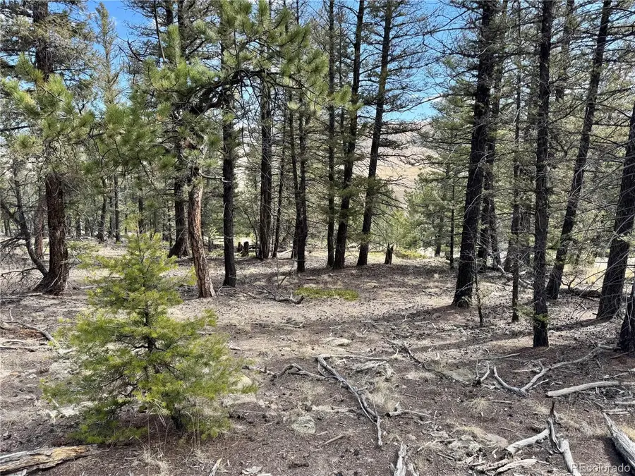 2601 Redhill Road, Fairplay, CO 80440 - #3