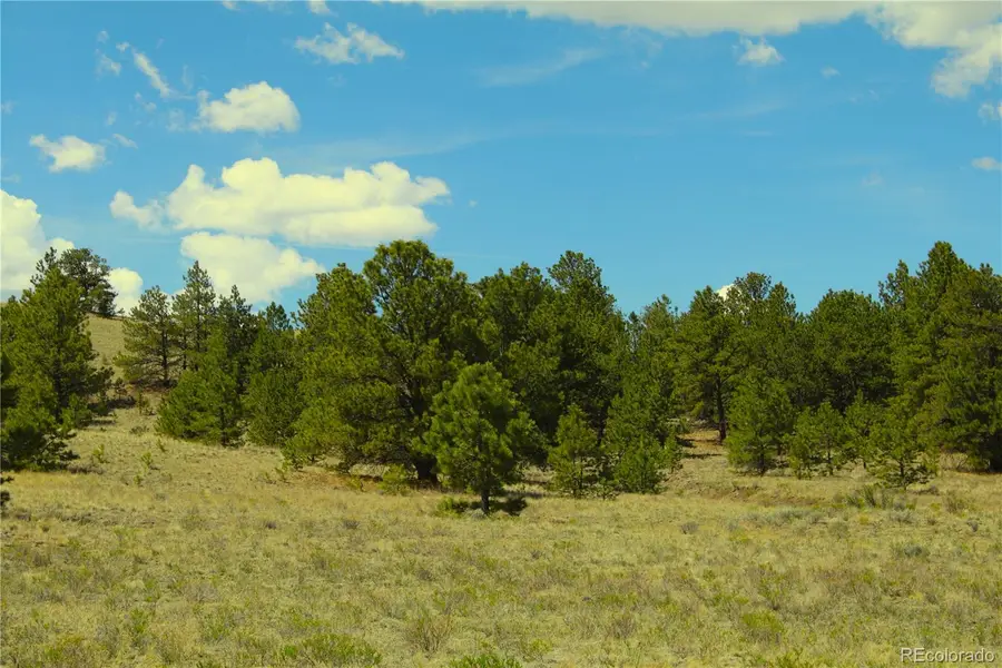 60 Hill Road, Hartsel, CO 80449 - #2