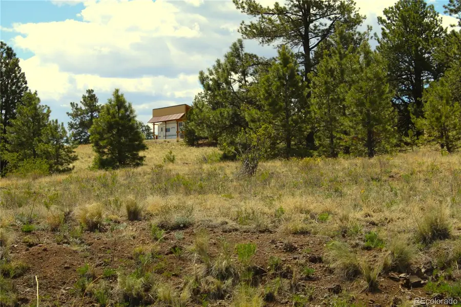 60 Hill Road, Hartsel, CO 80449 - #3