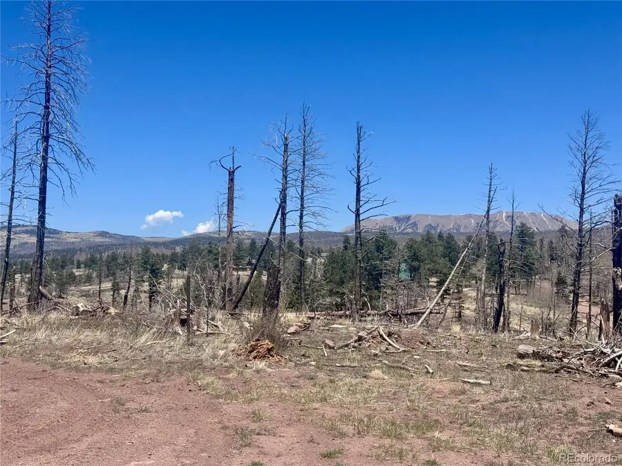Lot 1005 Foy Place, Fort Garland, CO 81133 - #2