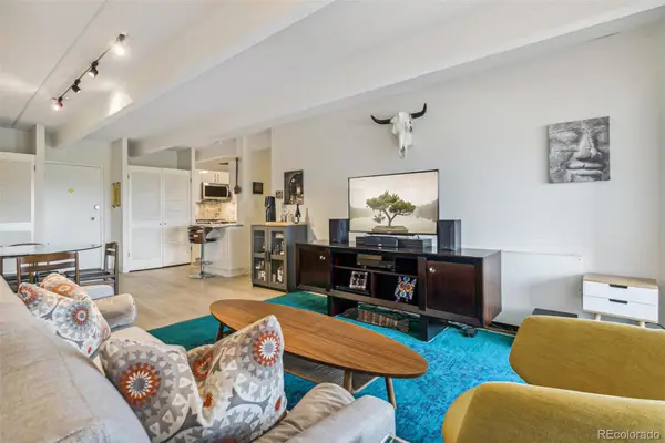 1255 N Ogden Street #605, Denver, CO 80218