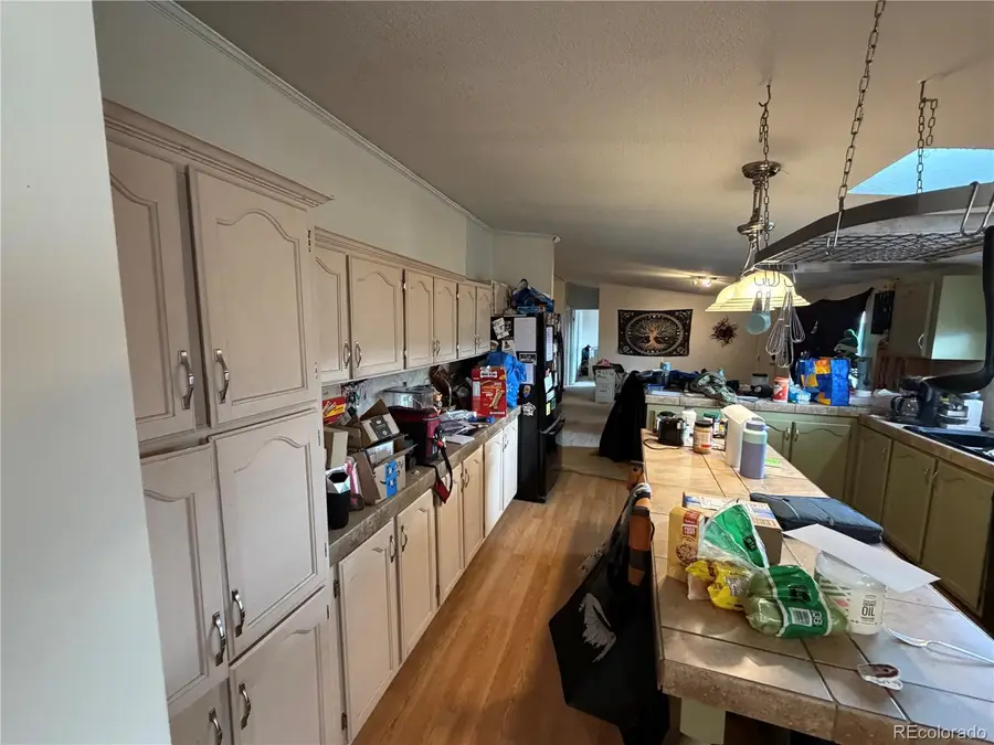 131 Dillon Lane, Florissant, CO 80816 - #3