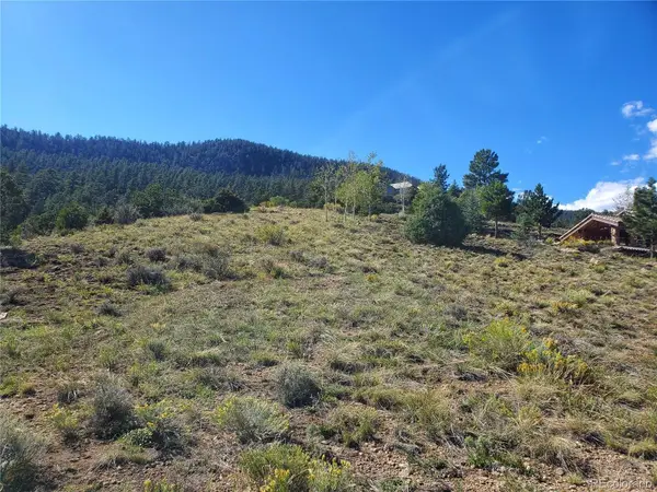 120 Fairway Ridge Lane, South Fork, CO 81154