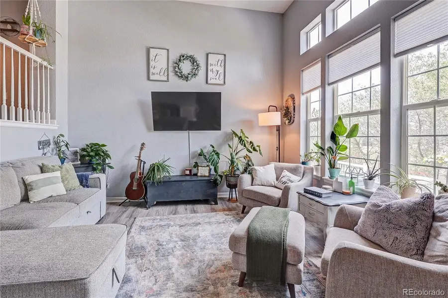 1458 Nemrick Place, Castle Rock, CO 80109 - #3