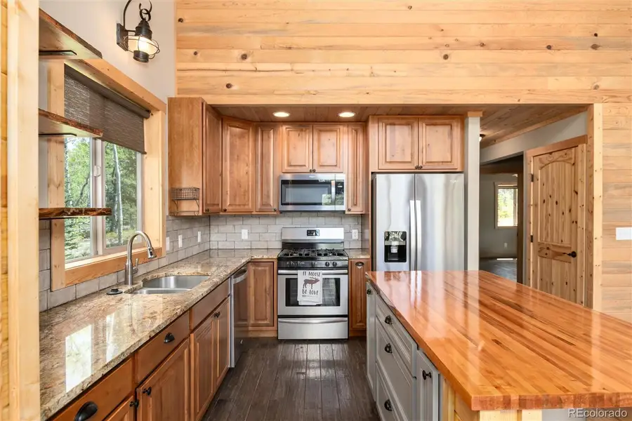 36 Wild Rye Road, Fairplay, CO 80440 - #3