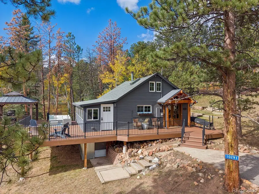 10291 Blue Sky, Conifer, CO 80433 - #2