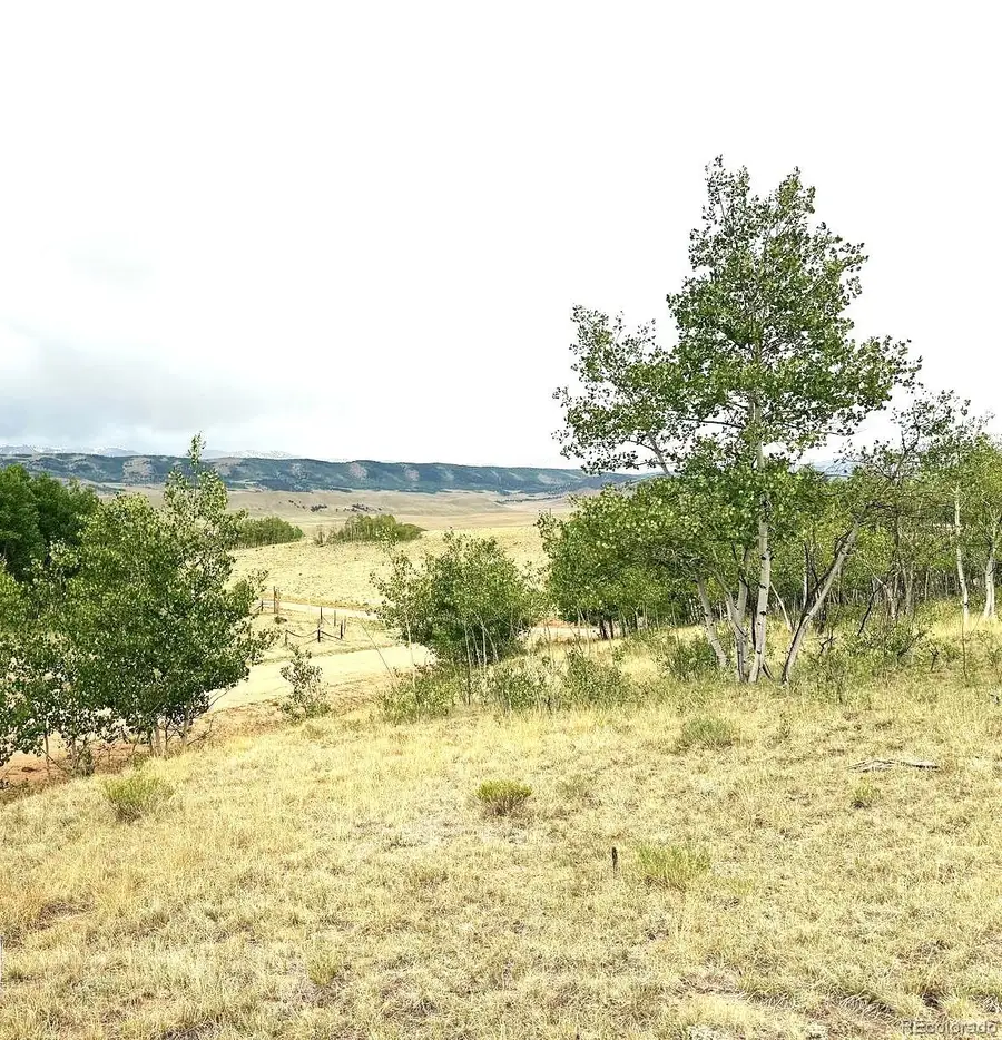 615 Caracara Lane, Jefferson, CO 80456 - #3