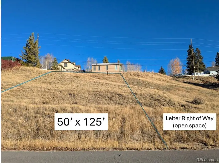 400 W 6th Street, Leadville, CO 80461 - #1