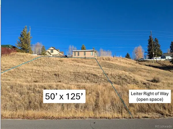 400 W 6th Street, Leadville, CO 80461