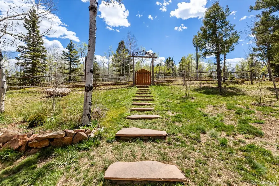 153 Moss Rock Court, Divide, CO 80814 - #3