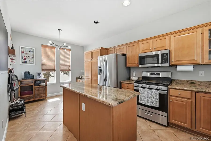 10559 Jewelberry Trail, Highlands Ranch, CO 80130 - #3