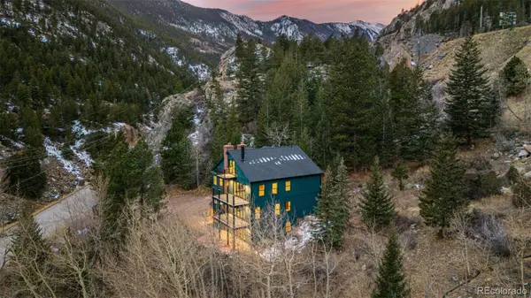 205 Loop Drive, Georgetown, CO 80444