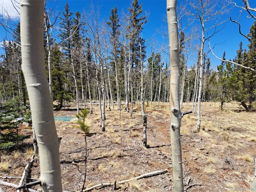 782 Tepee Trail, Como, CO 80432 - #3