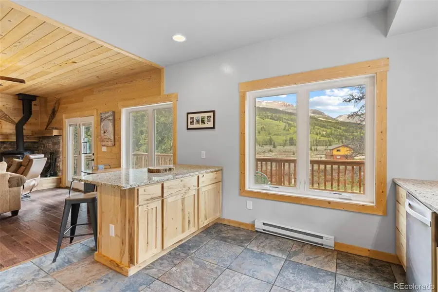 52 Coot Place, Alma, CO 80420 - #3