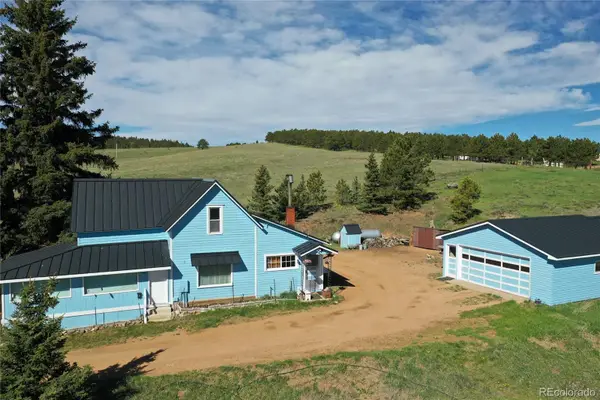 3579 County Rd 42, Florissant, CO 80816