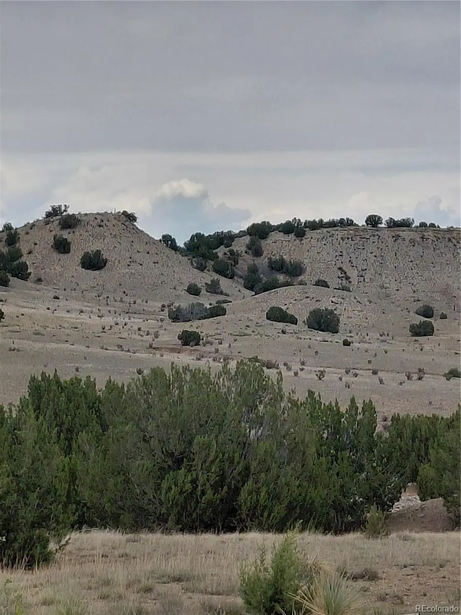 PAR 62 Horse Creek Road, Pueblo, CO 81004 - #2